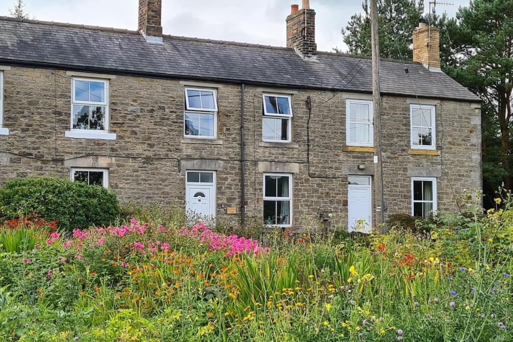 Woodcutters Cottage, Northumberland Халтвисл Экстерьер фото